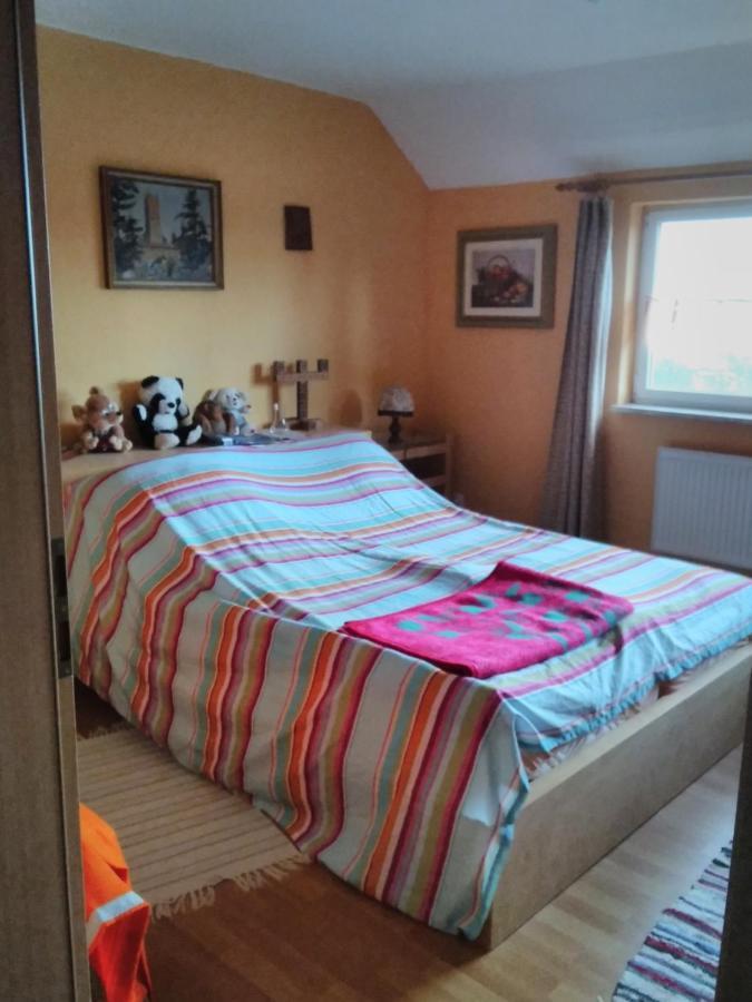 Ferienwohnung Heidi Selb Bagian luar foto